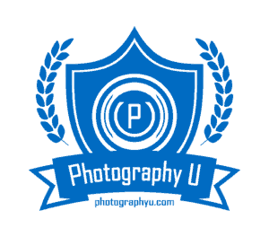 PU Logo - Light Blue Monoline